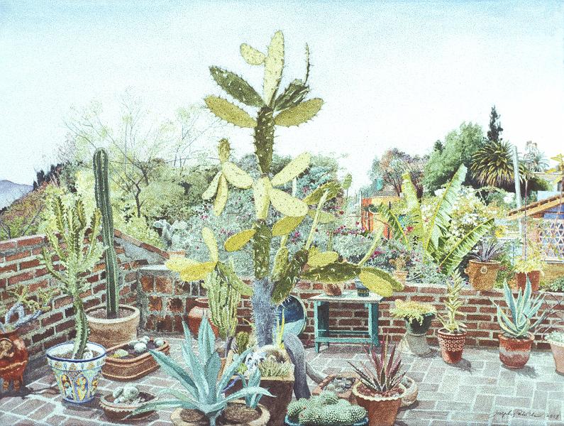 Roof Cactus Garden_ 03.jpg